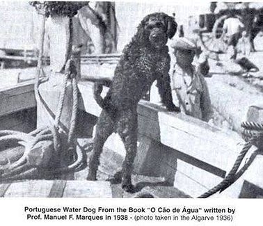 History_of_PWD_02