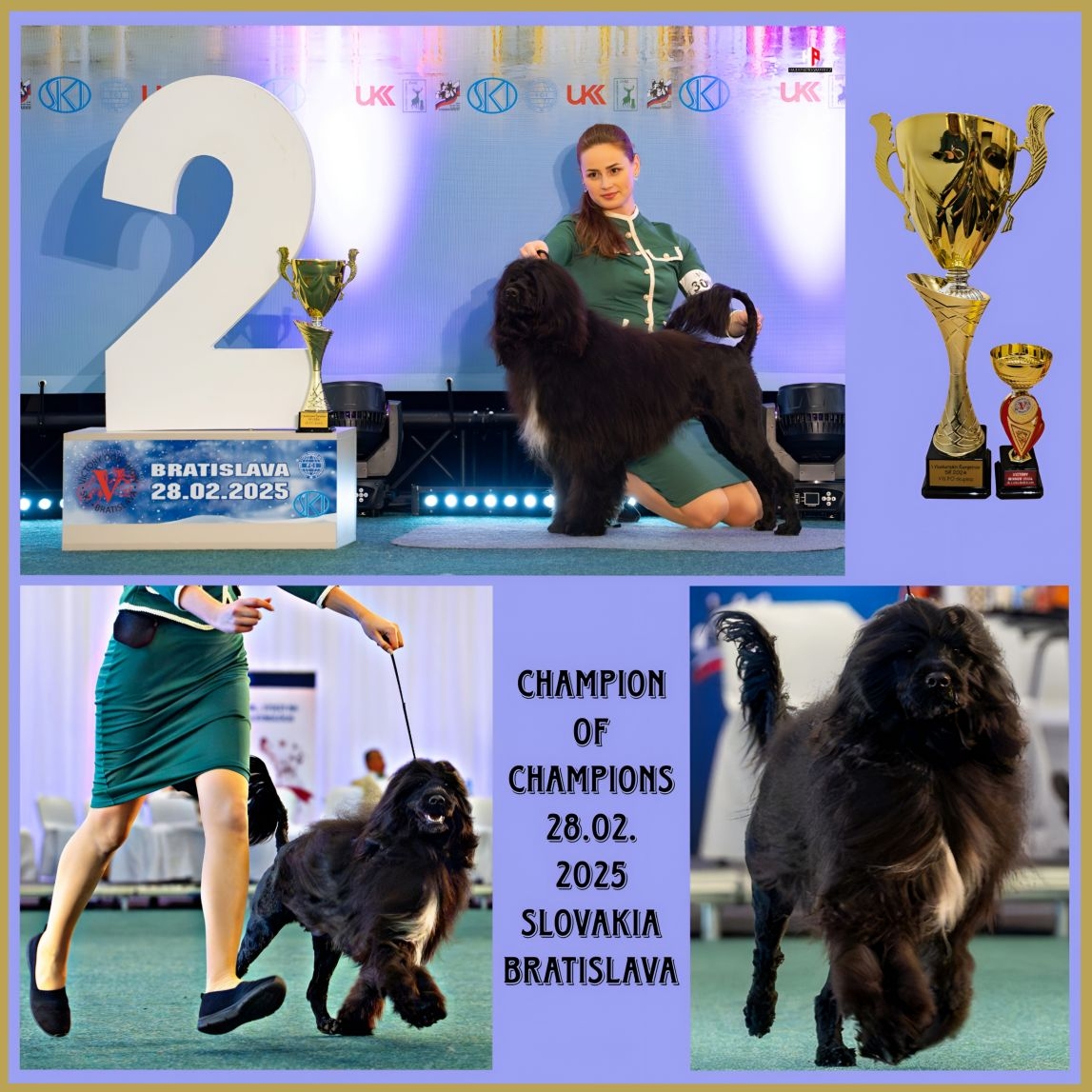 Champion of Champions