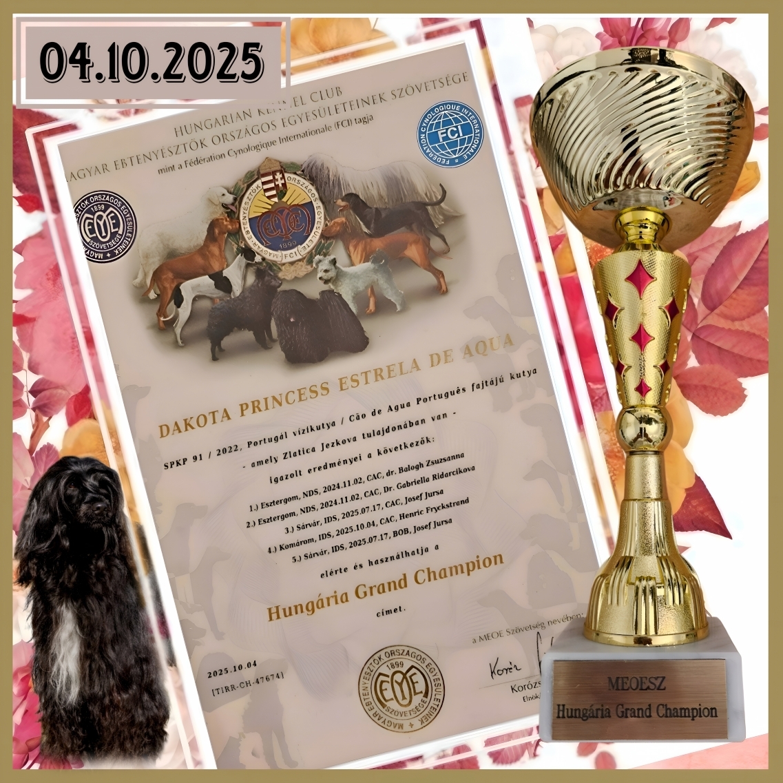 Grand Champion Hungary
