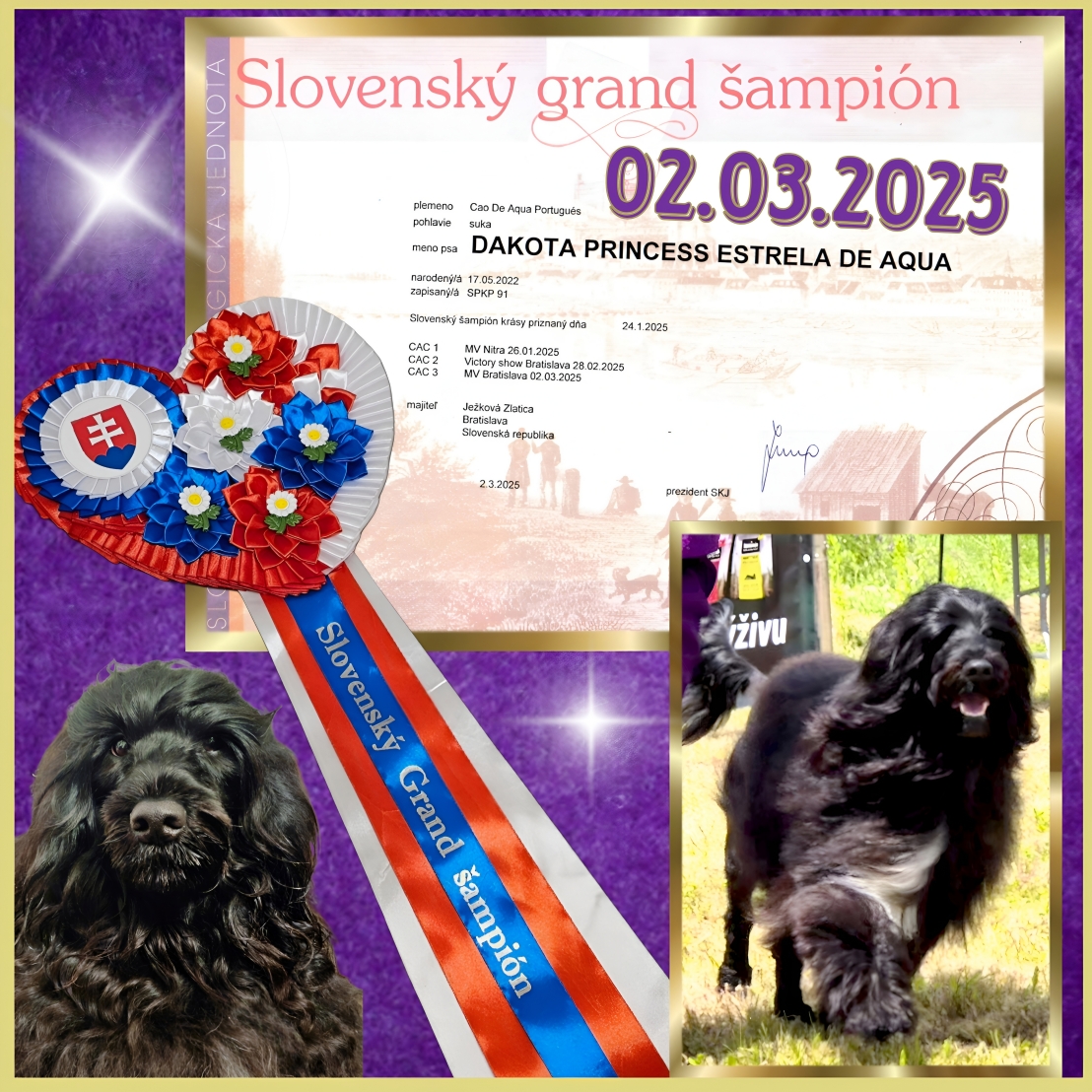 Grand Champion Slovakia