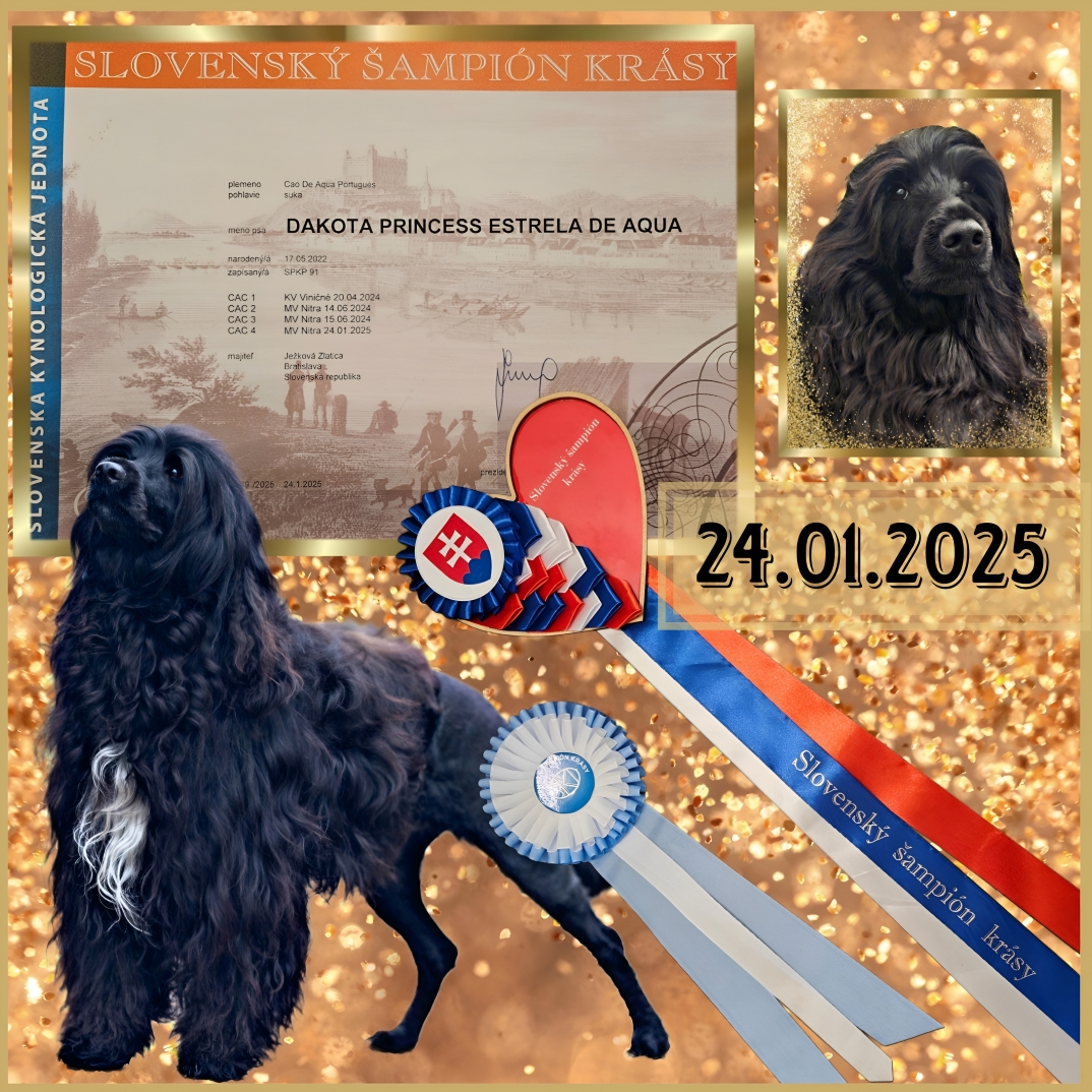 Champion Slovakia