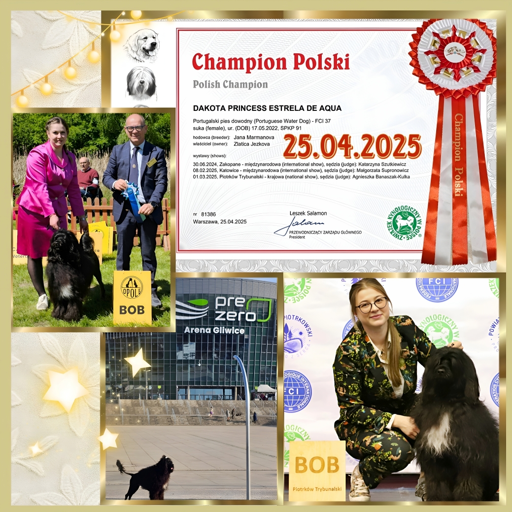 Champion Poland