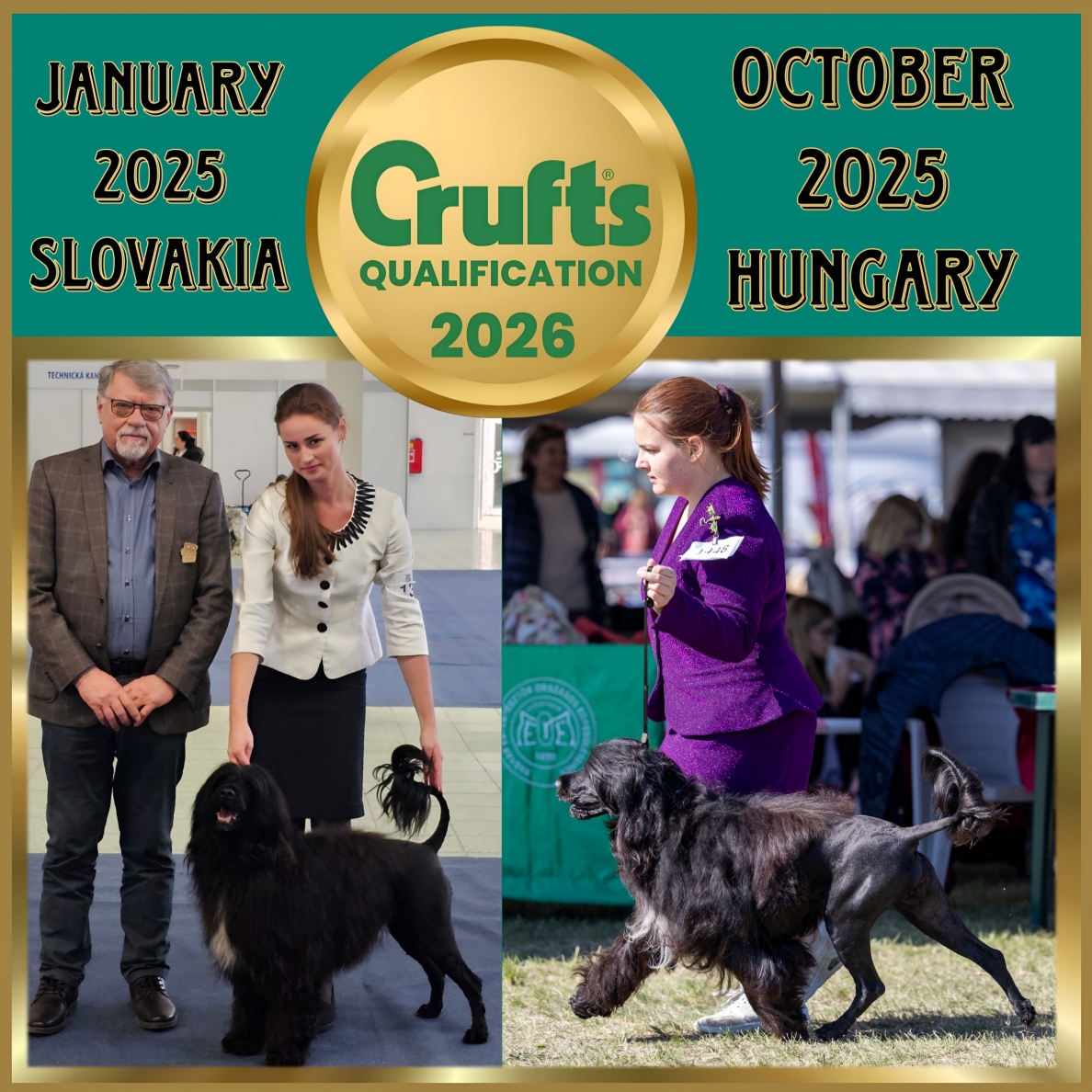 Crufts Qualification 2026
