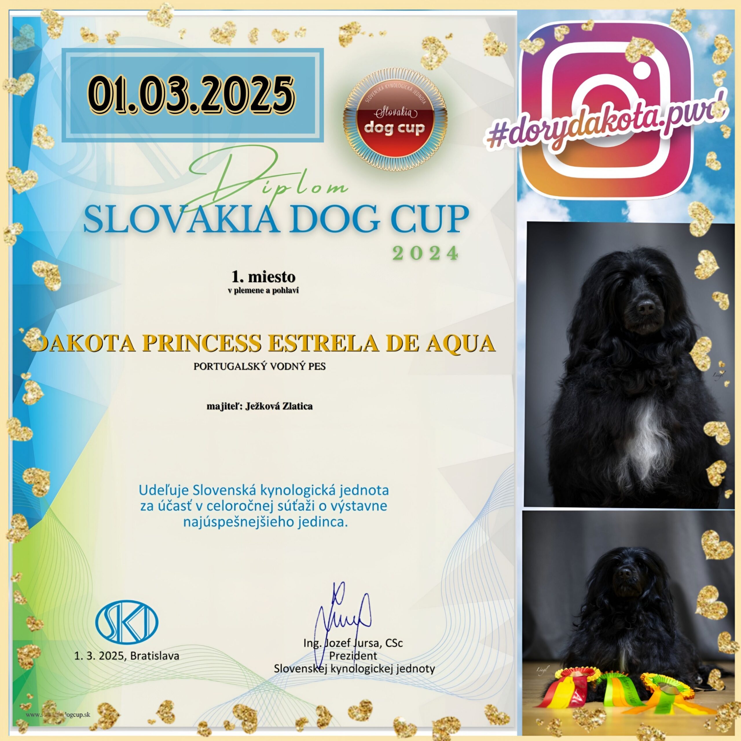Slovakia Dog Cup 2024