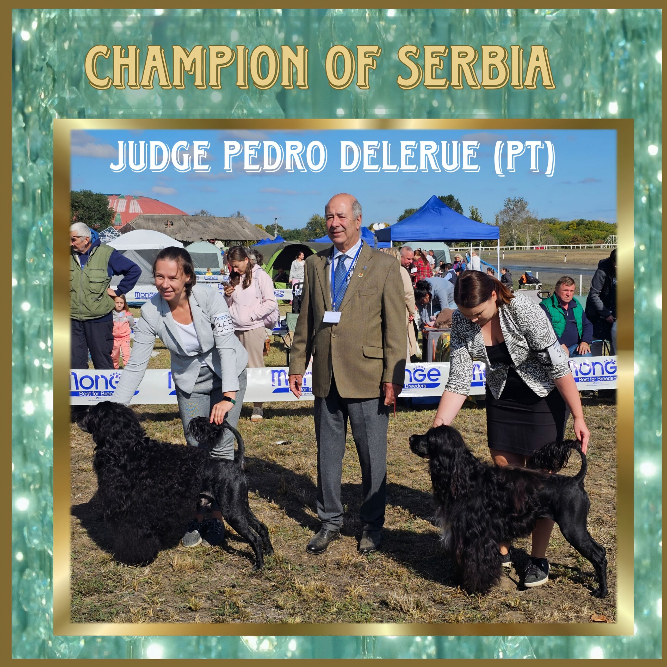 Champion Serbia