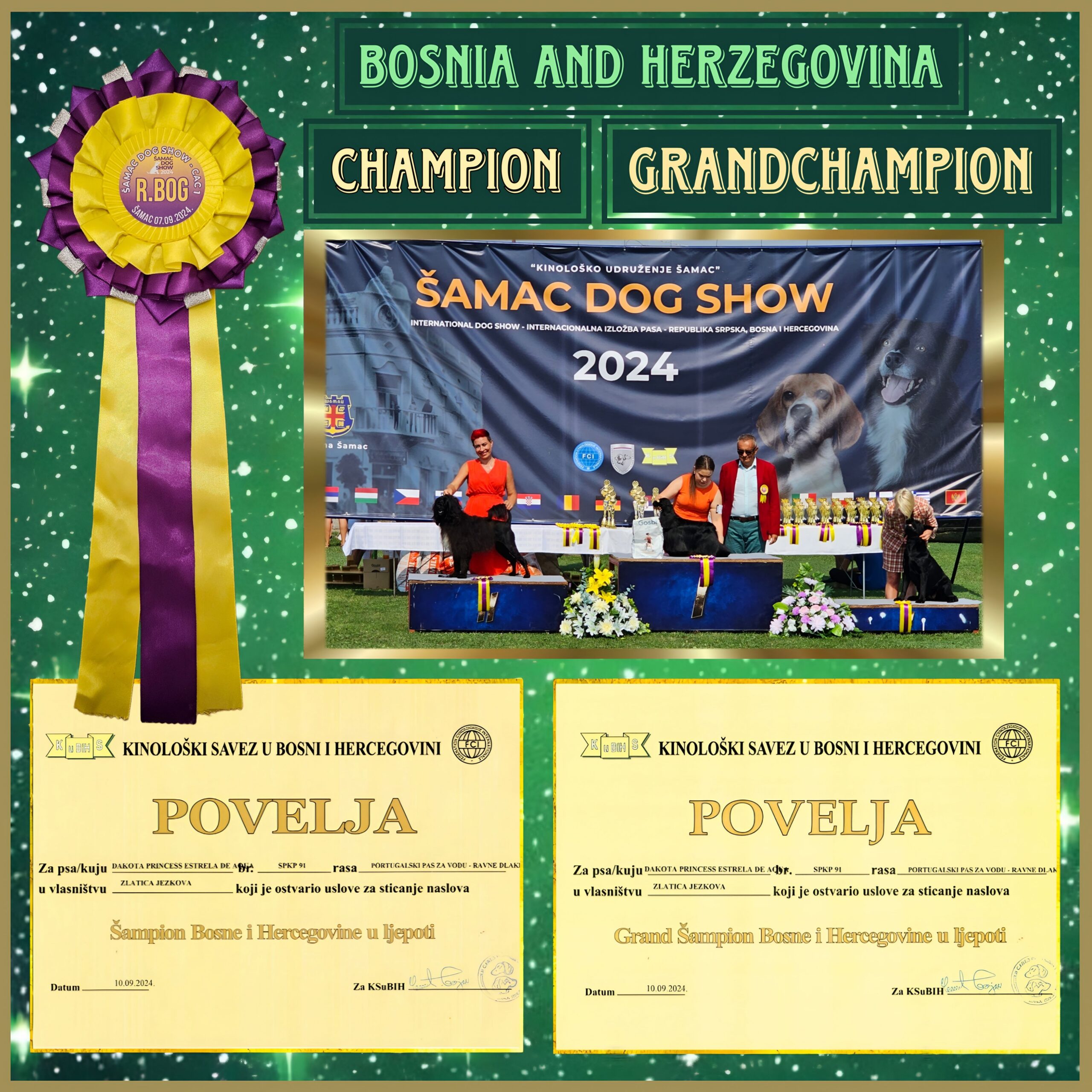 Champion Bosnia and Herzegovina