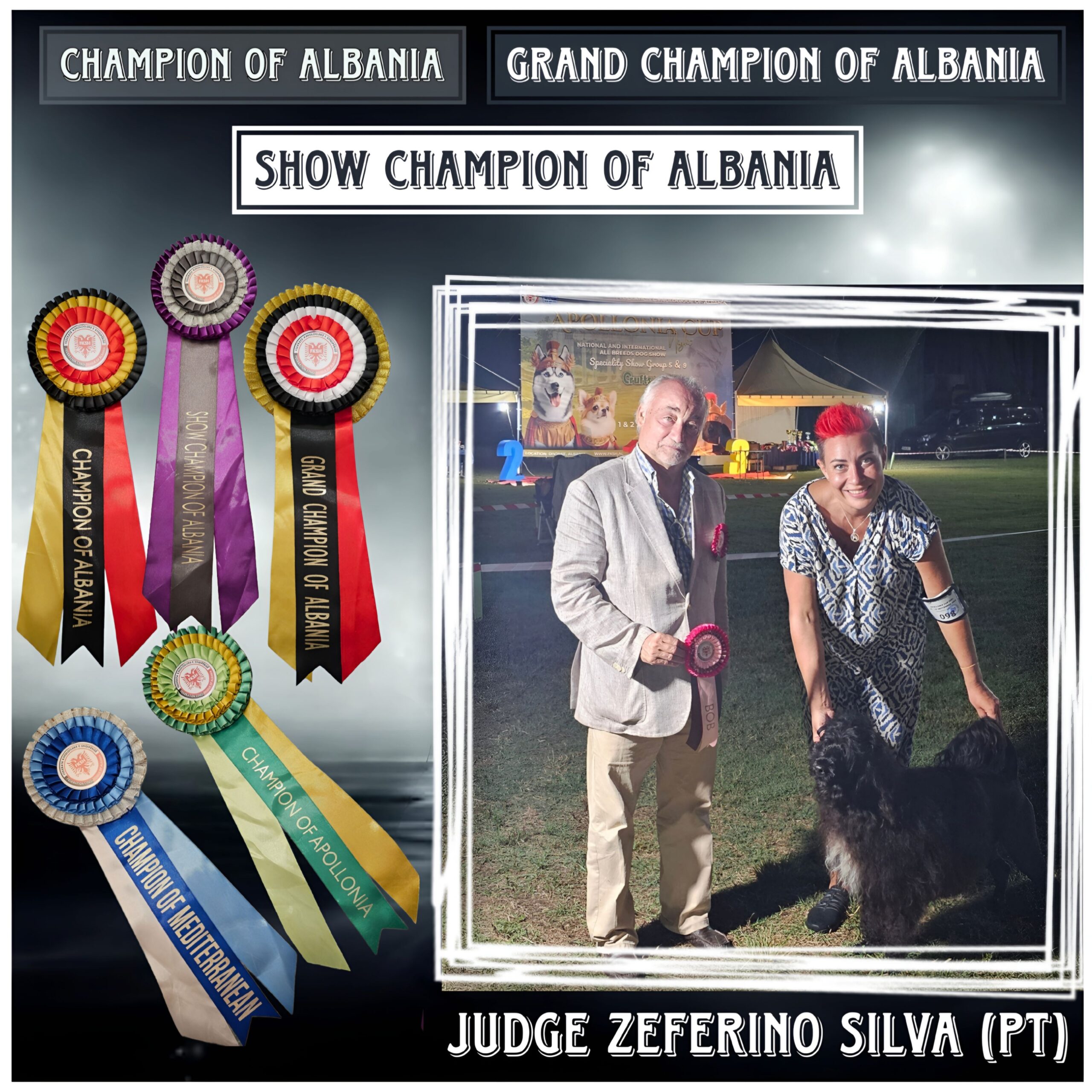 Champion Albania