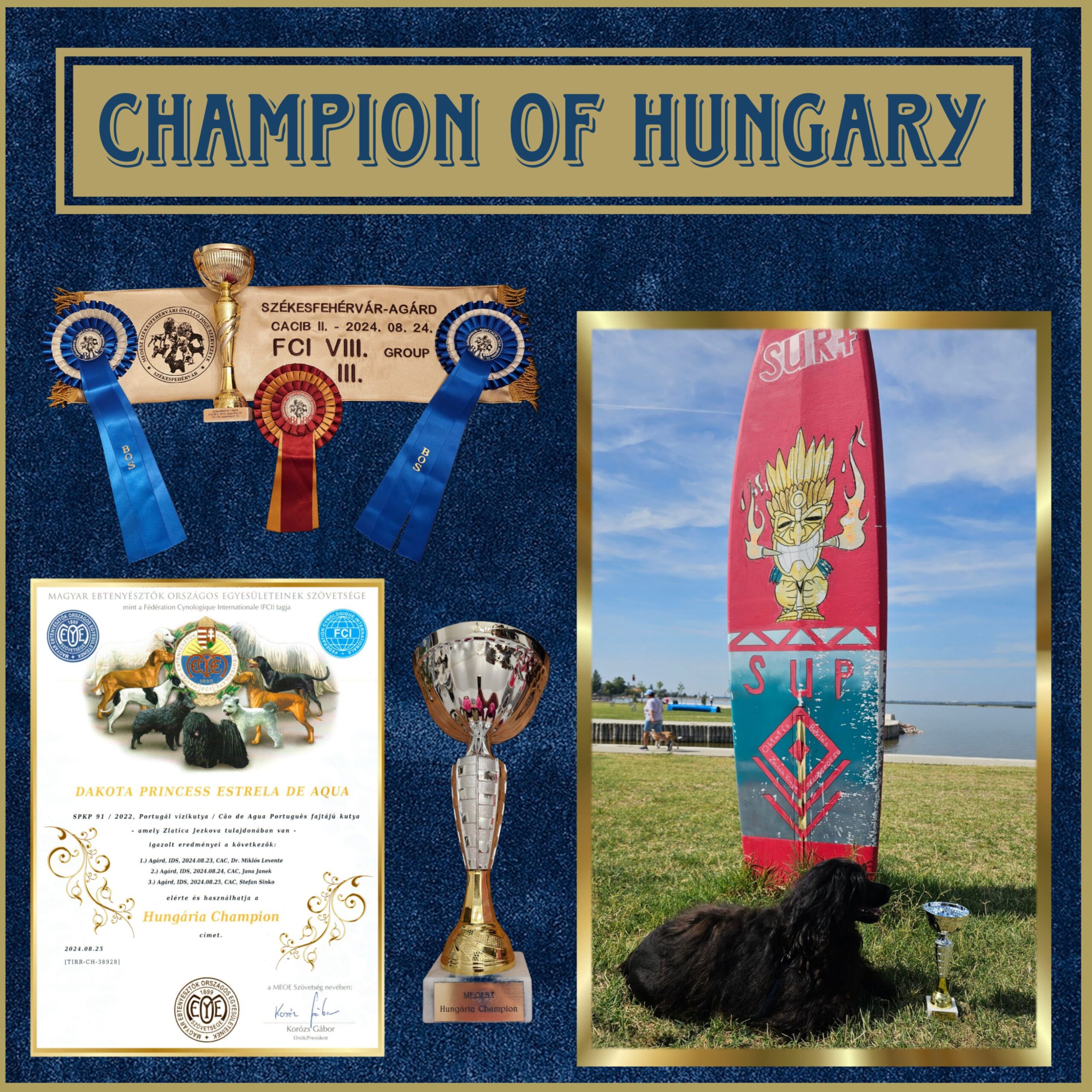 Champion Hungary