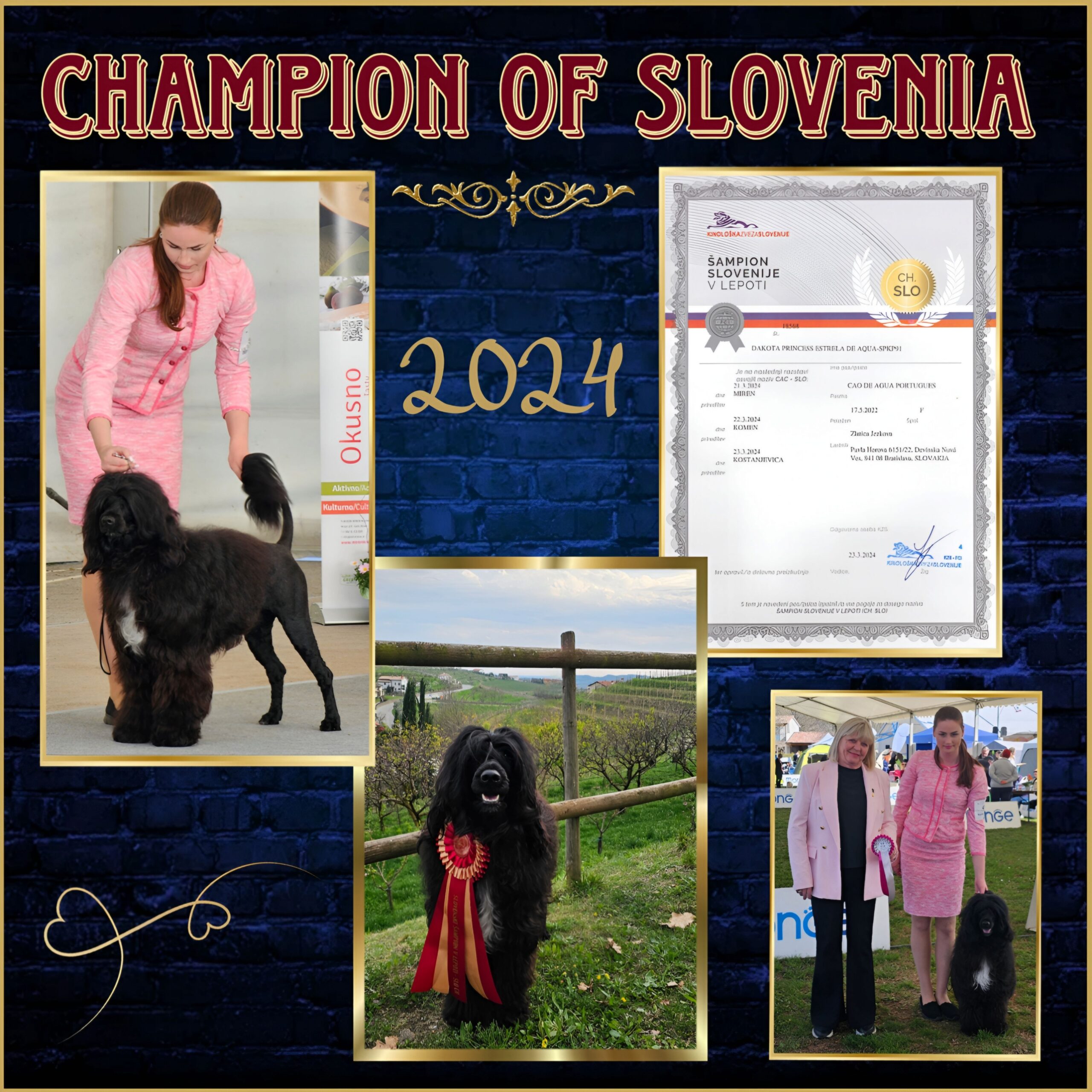 Champion Slovenia