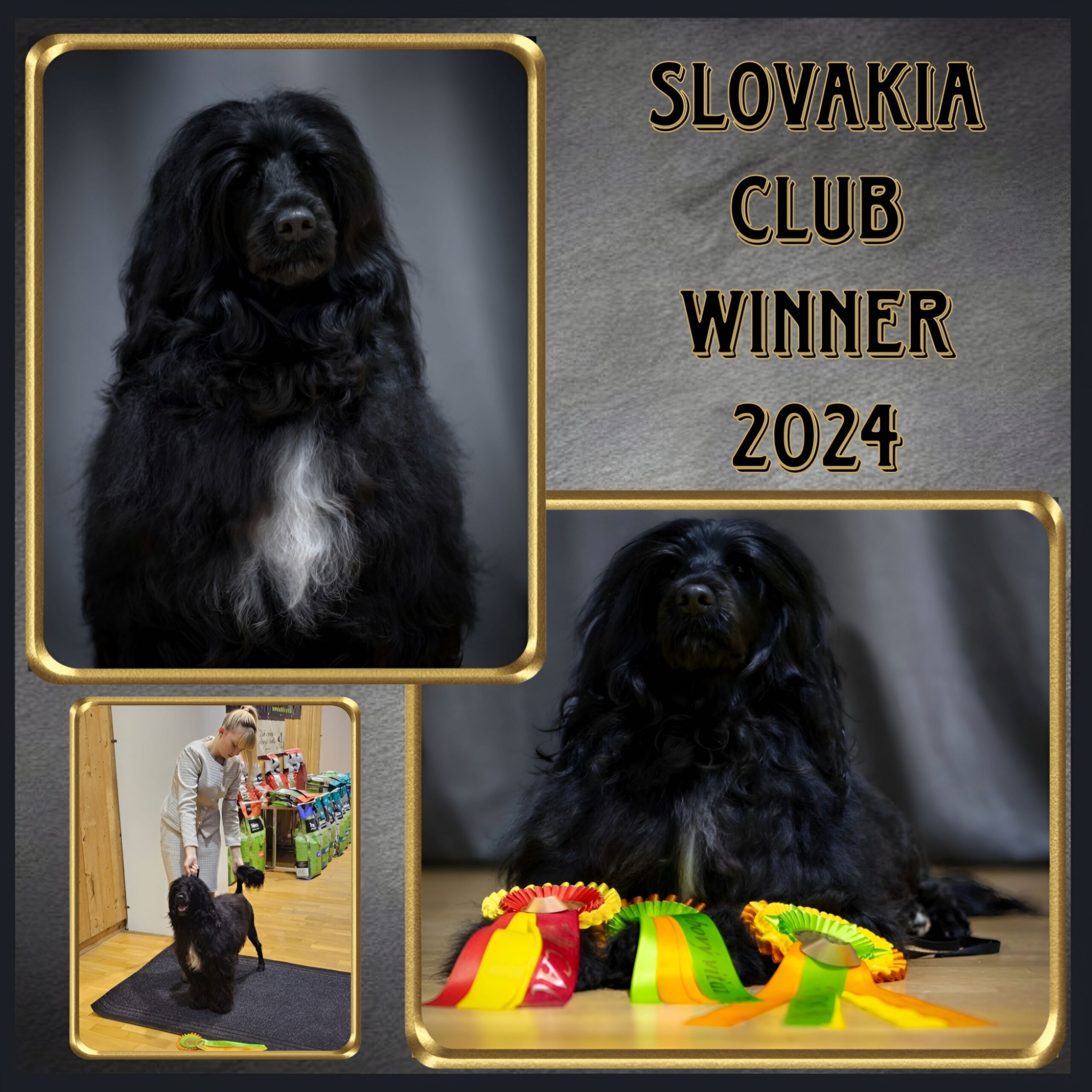 Club Winner Slovakia