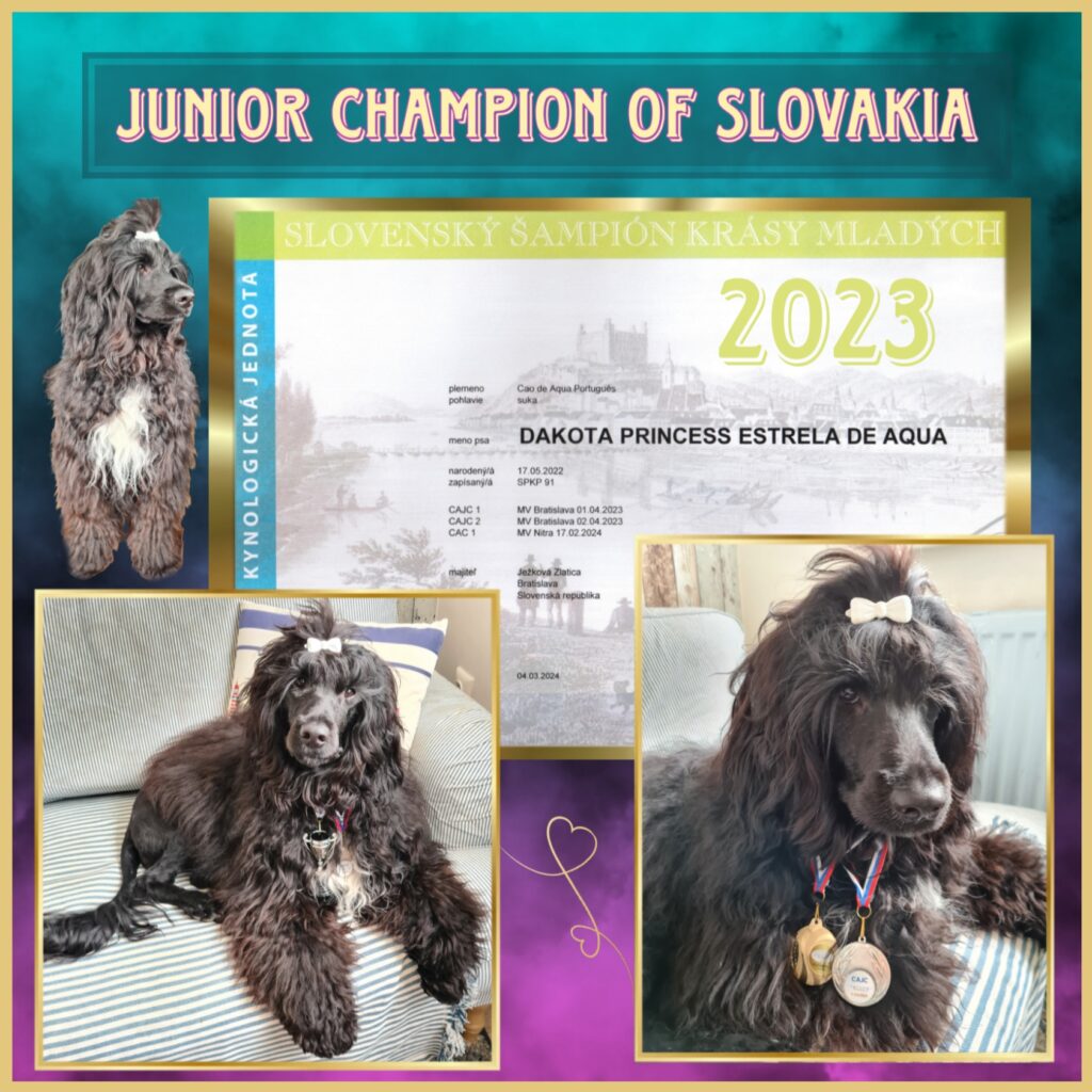 Junior Champion SK