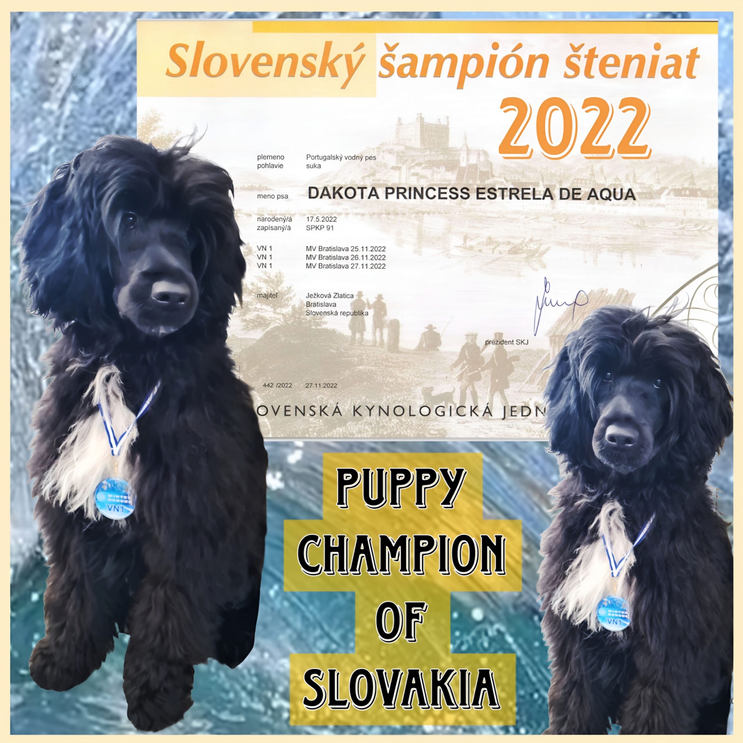 Puppy Champion Slovakia