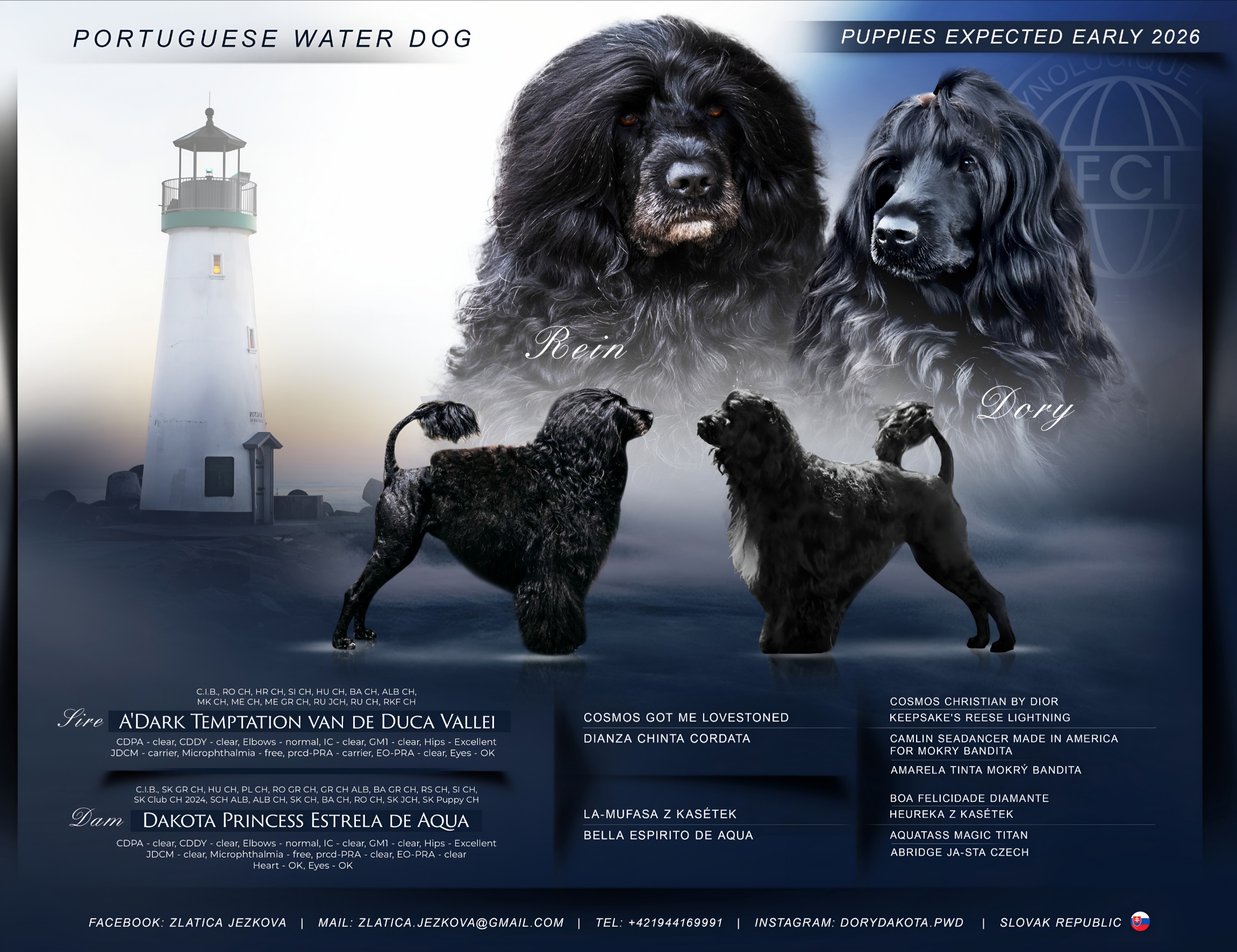 Dory a Rein – vrh Aquabuddy