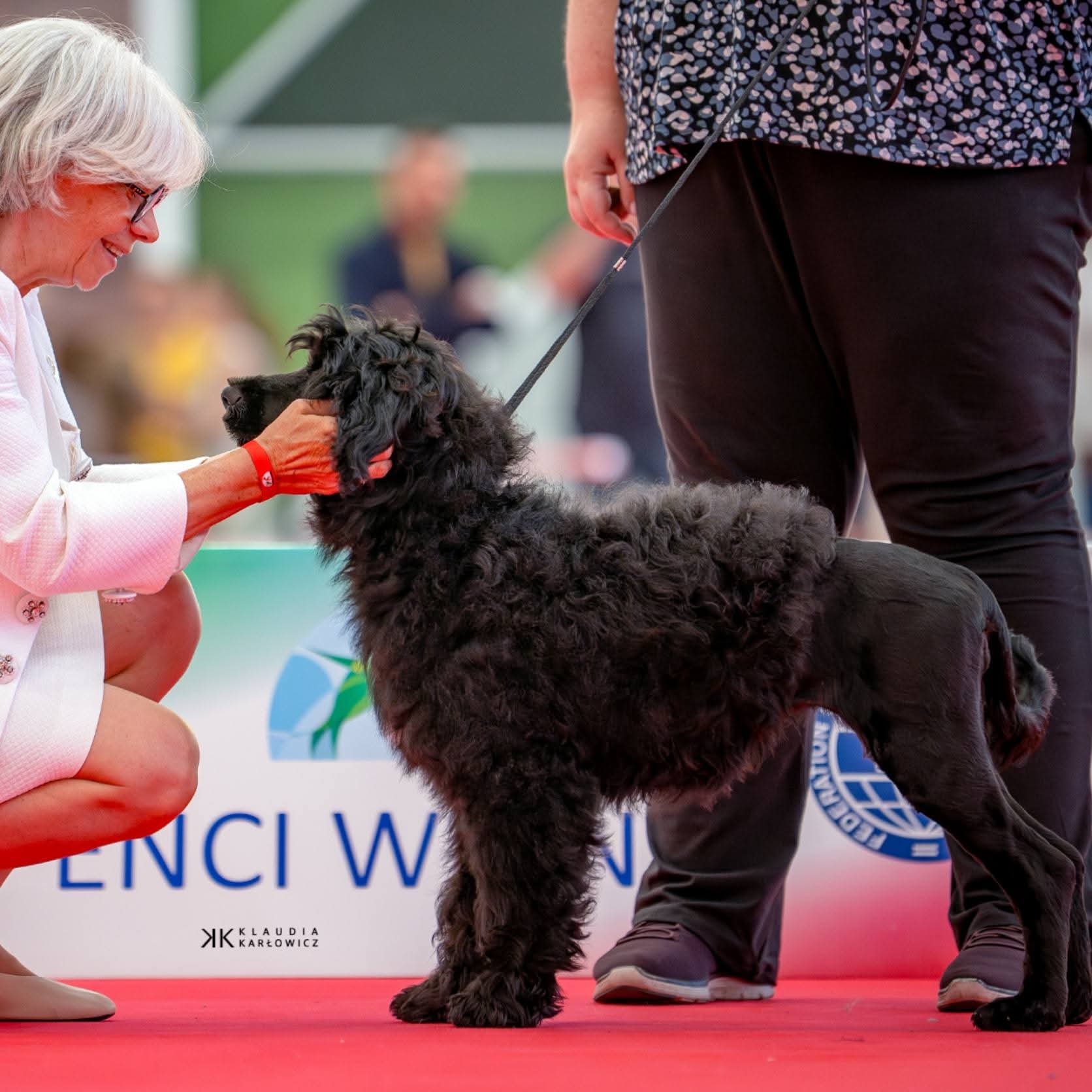 Coral World Dog Show Bologna 2026