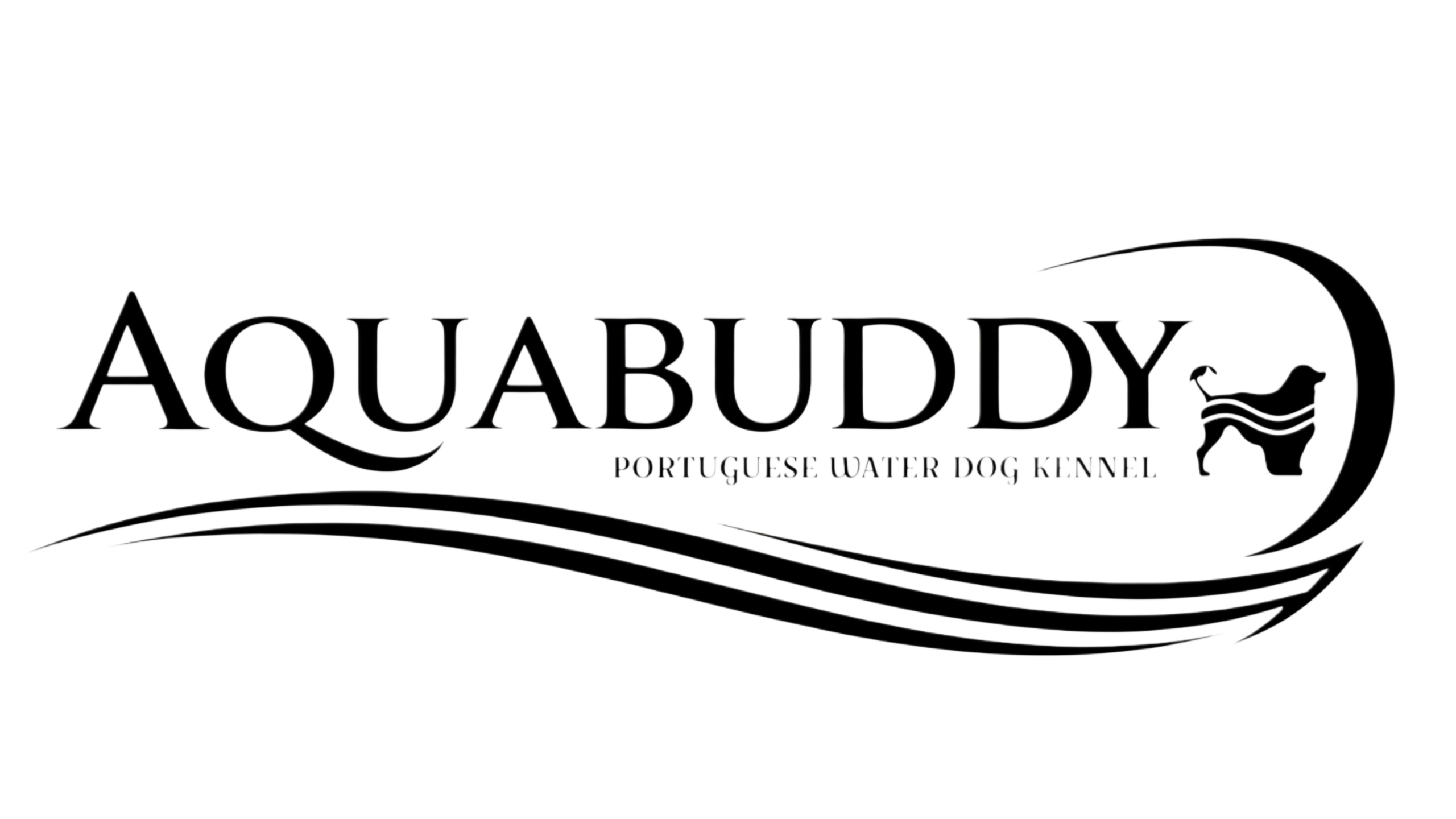 Aquabuddy – Portuguese Water Dog Kennel