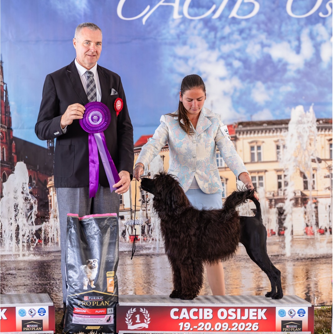 Coral Slavonia Dog Shows 2026