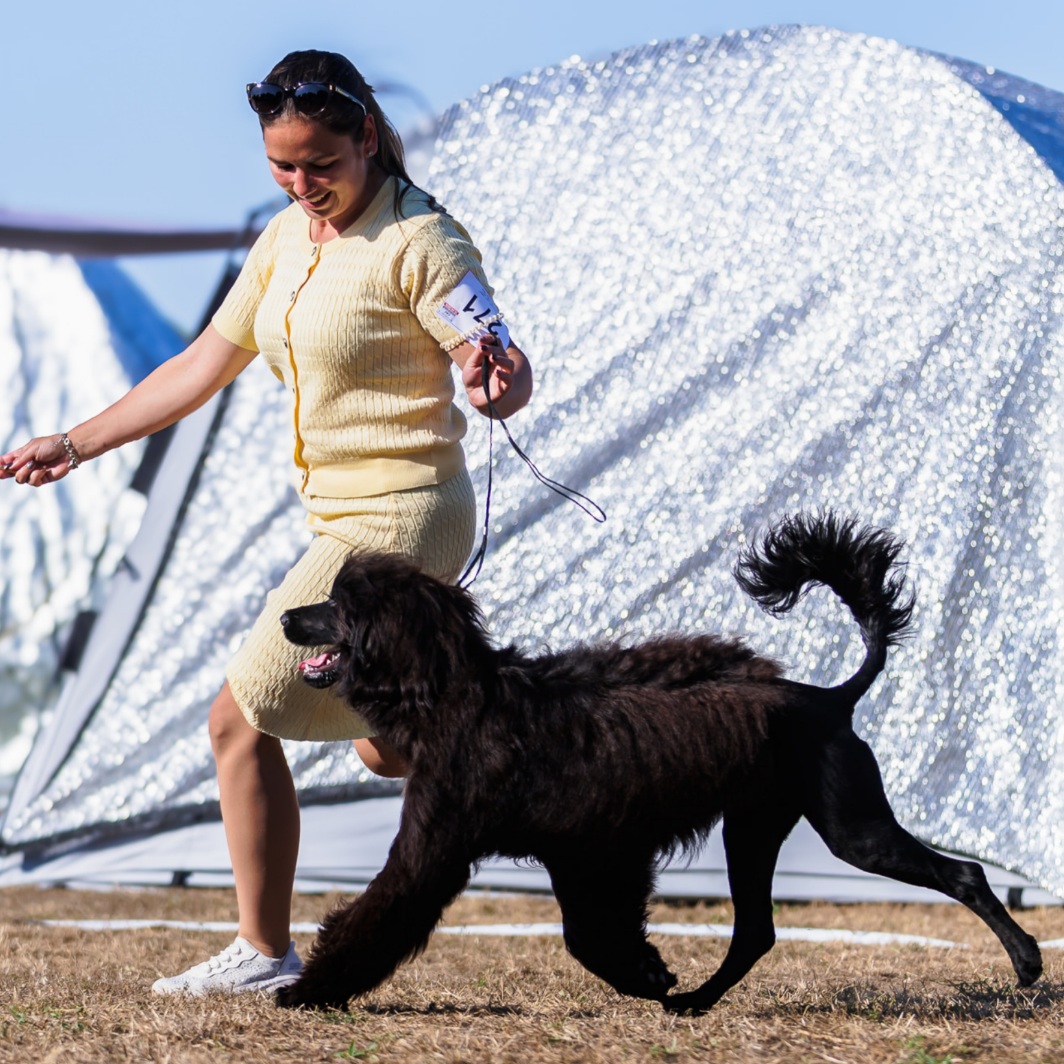 Coral Slavonia Dog Shows