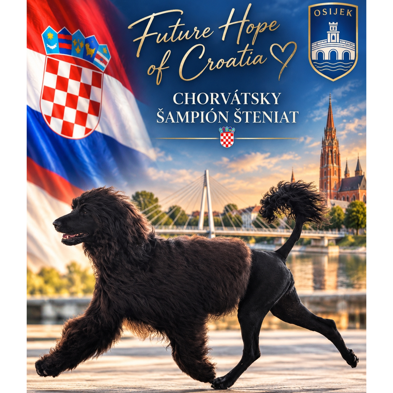 Coral Future Hope of Croatia