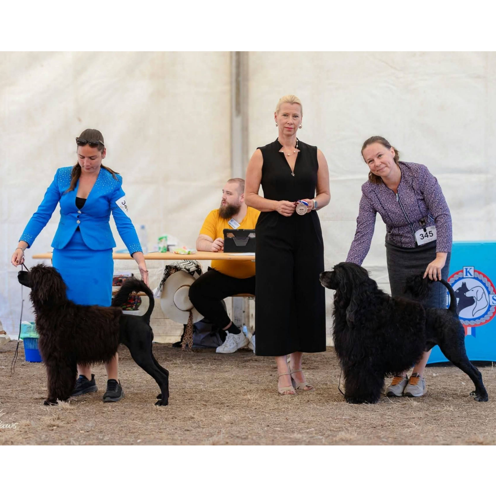 Coral and Rein Slavonia Dog Shows