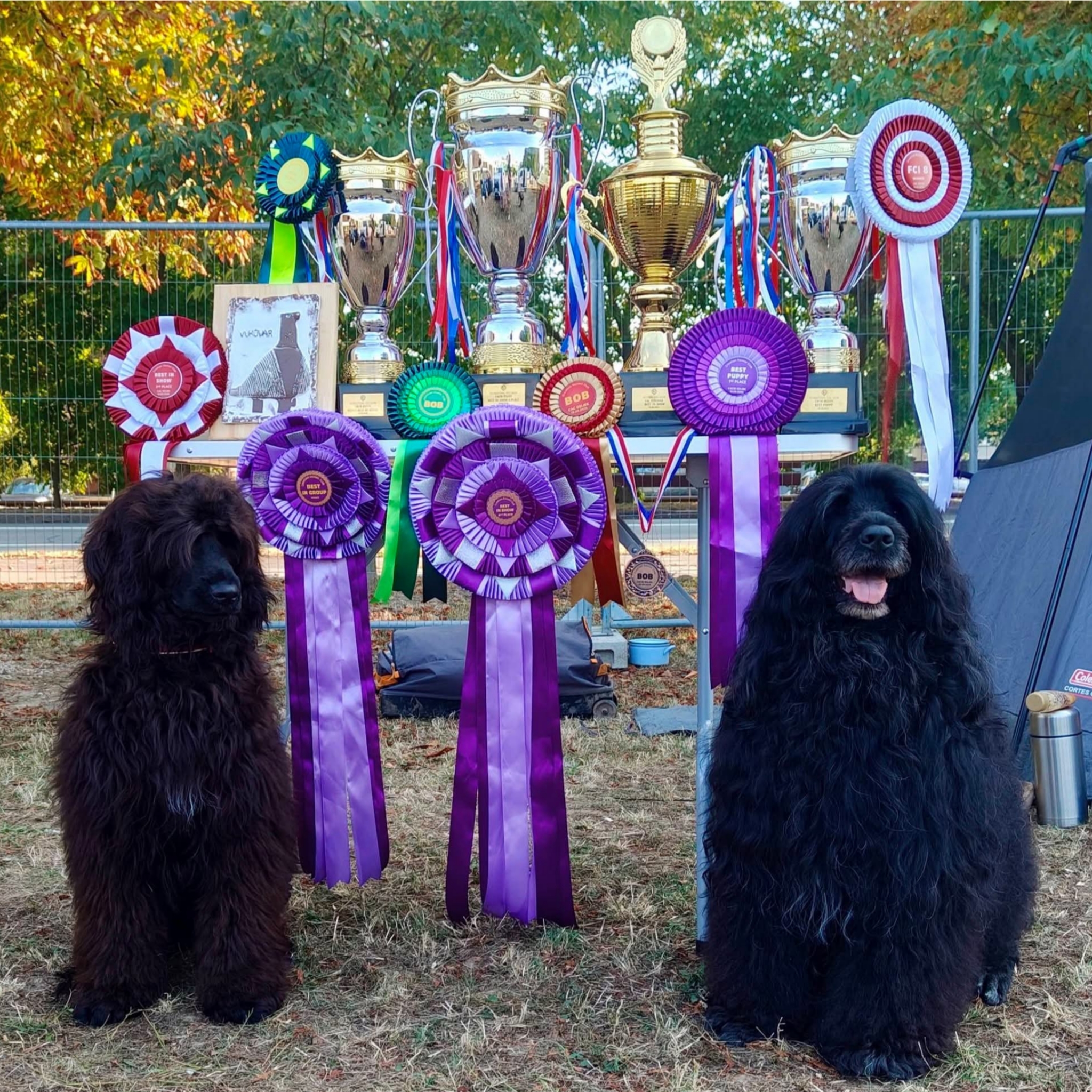 Coral and Rein with trophies