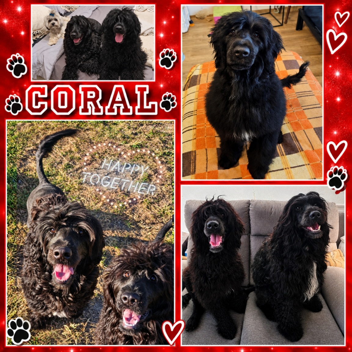 Coral