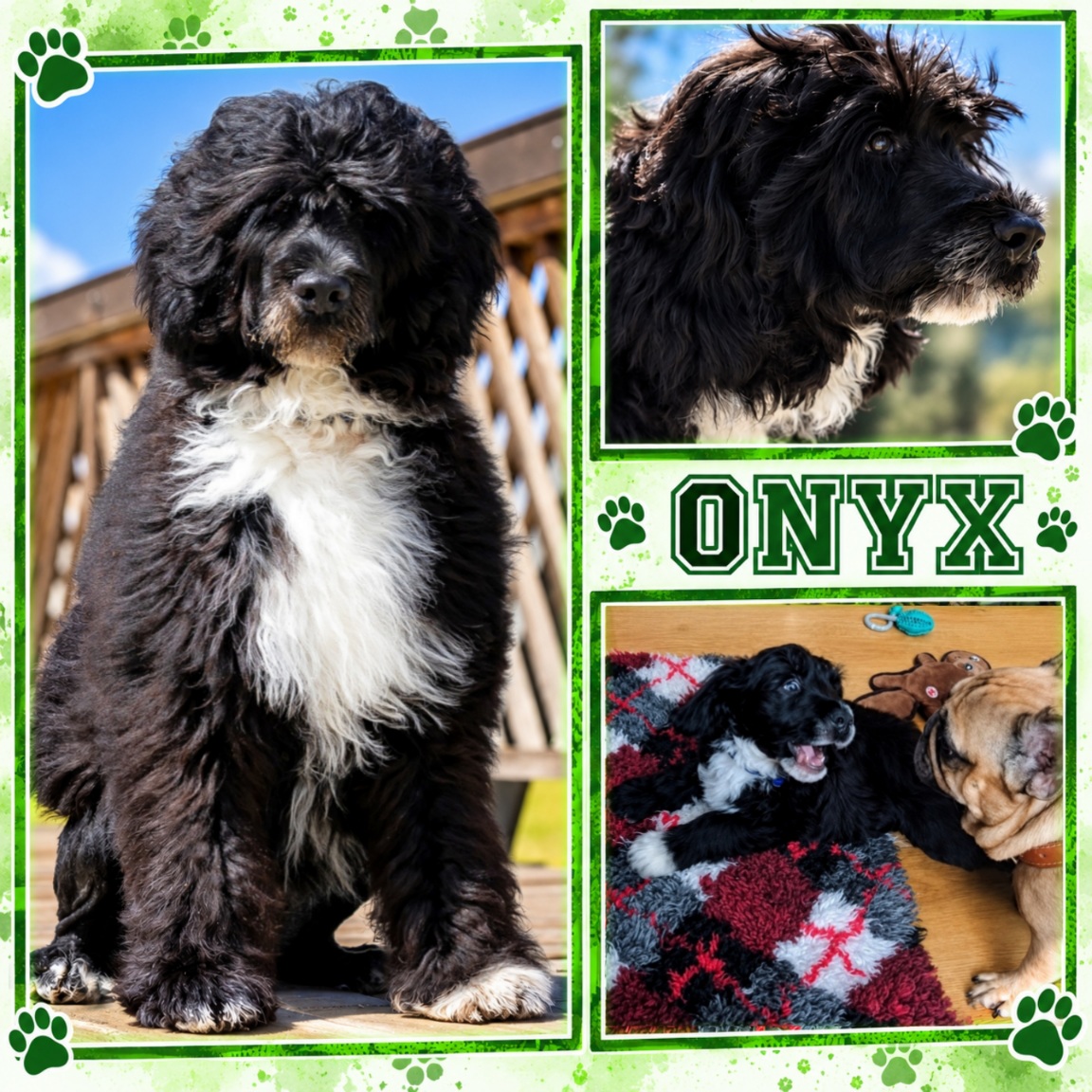 Onyx